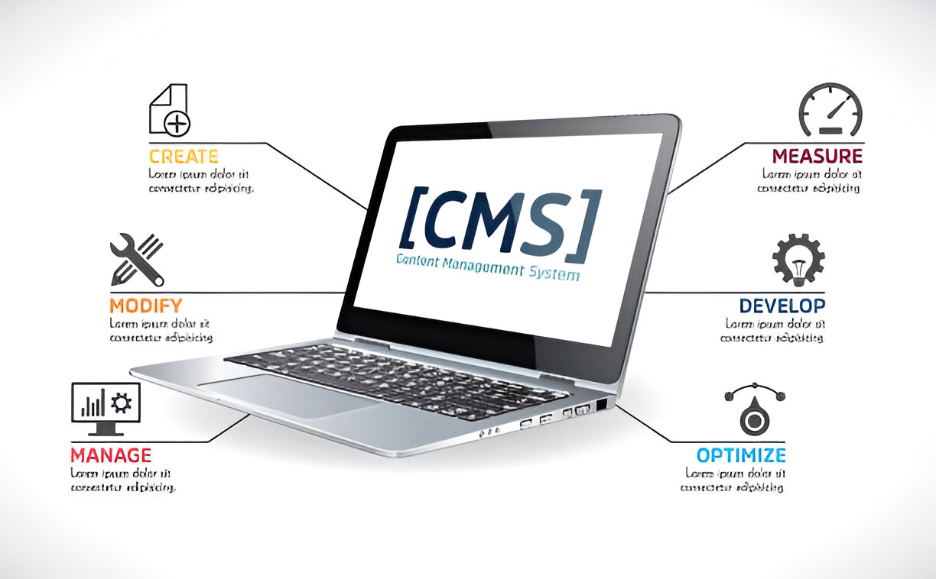 RISExDigital | WordPress vs. Custom CMS: Which Is Better for Your Business Website and Conversion Goals?