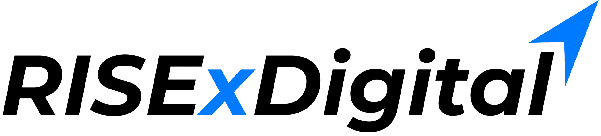 RISExDigital|Professional Website Design and Development | RISExDigital